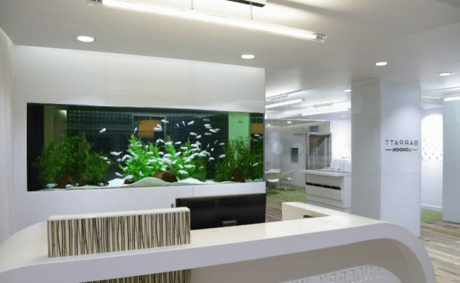 oficinas vanguardistas