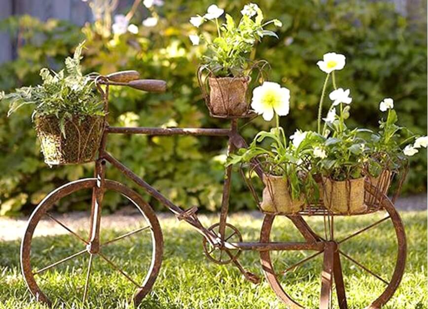 decoracion con plantas