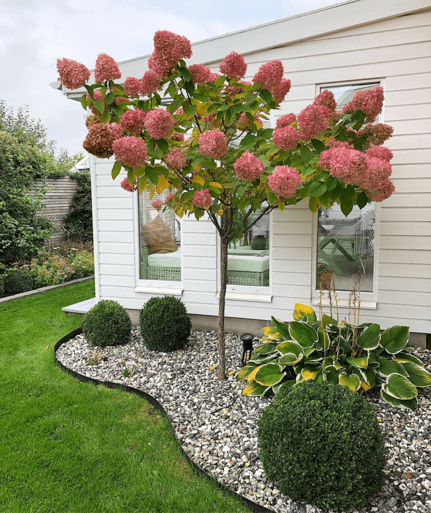 jardin con arboles