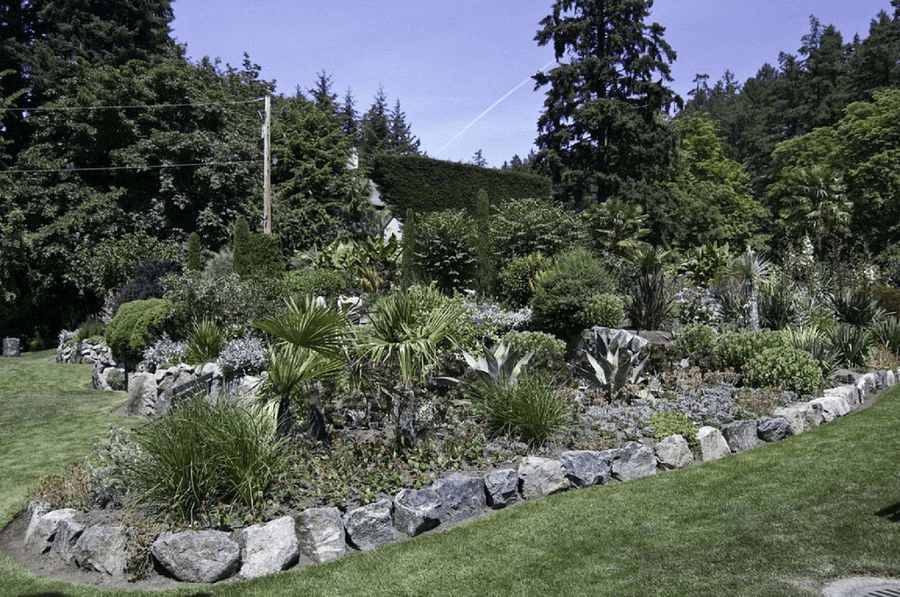 jardin secano