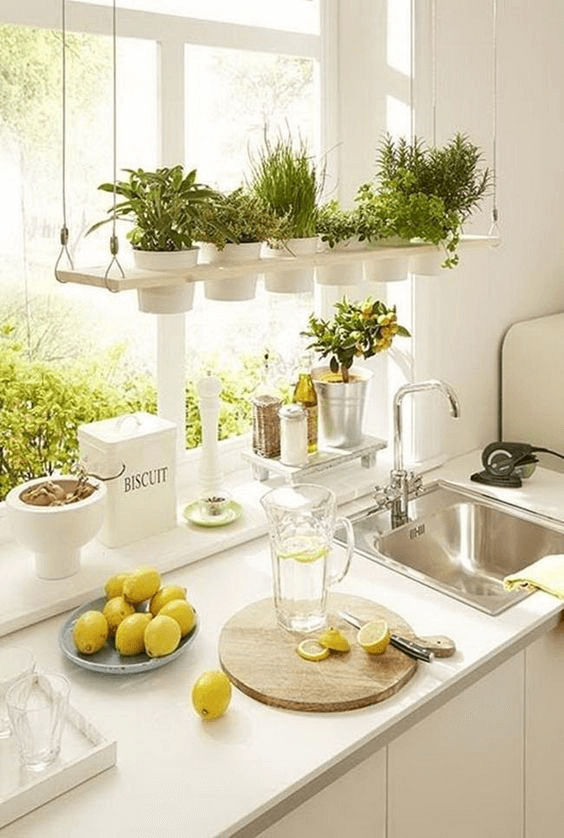 huerto en la cocina