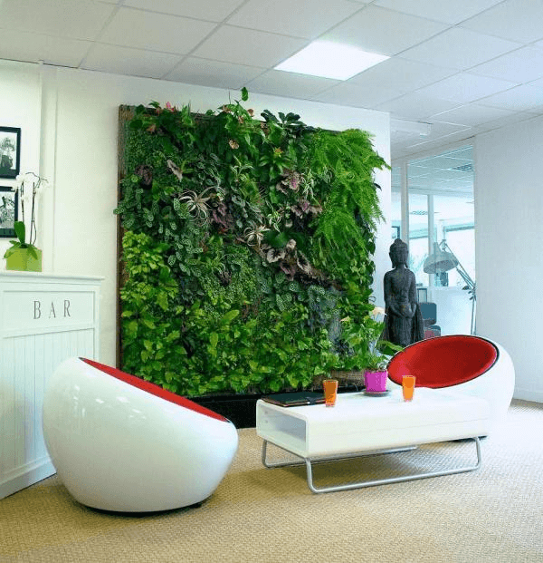 paredes con plantas