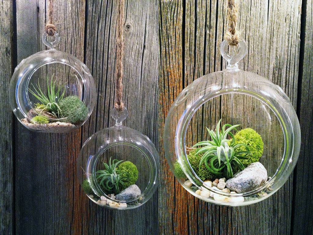 terrario de cristal