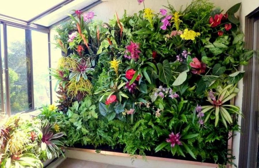 jardines verticales