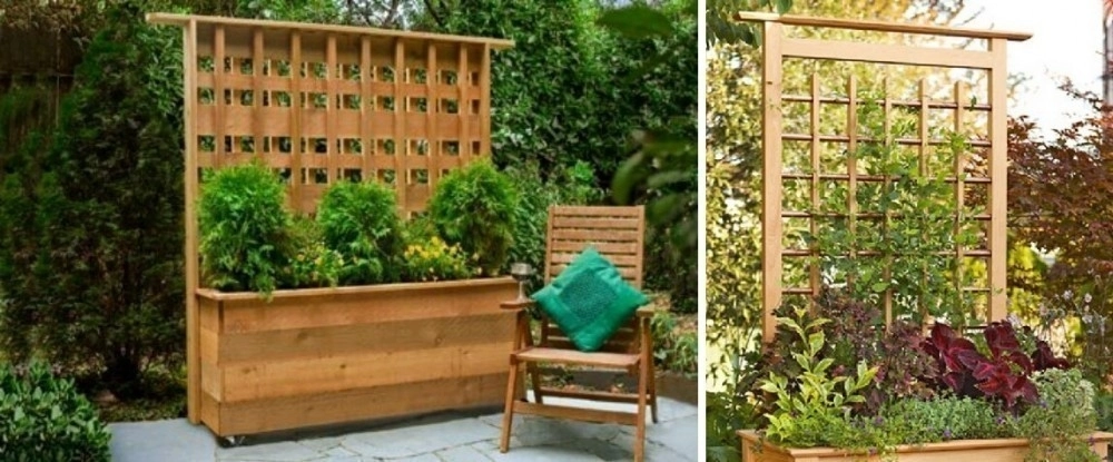 plantas en cadena