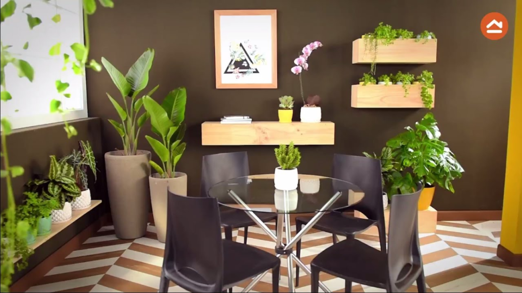 decorar con plantas de interiores