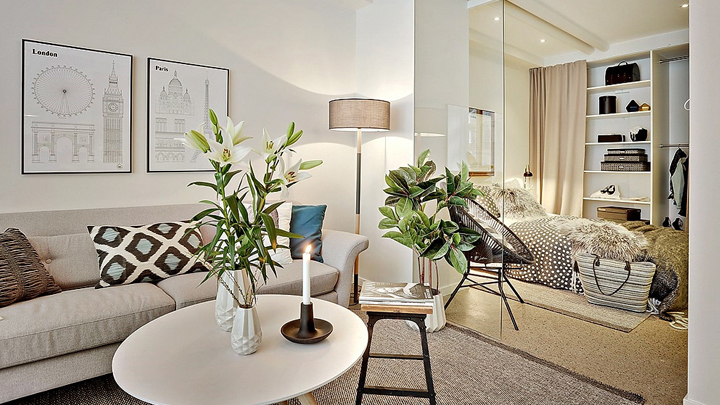 Plantas con flores plantas con flores