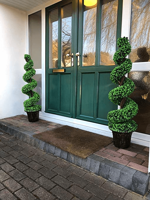 arboles ornamentales