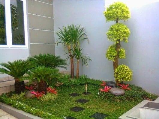 como decorar con plantas para exteriores
