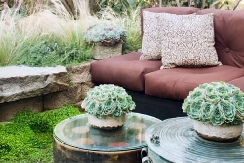 centros de mesa con planta suculenta