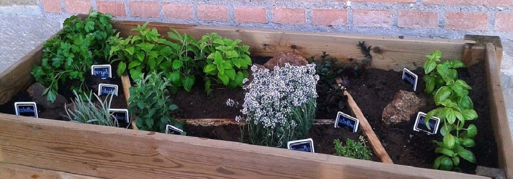 jardines con huertos caseros