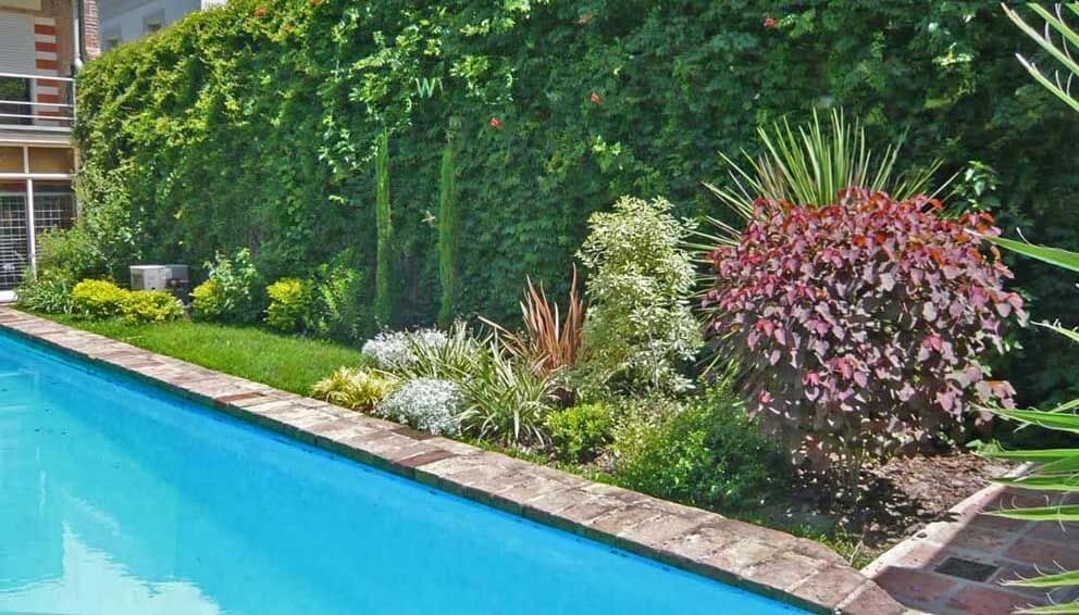 planta de exterior para piscinas