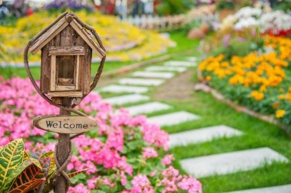 decora con plantas de exterior