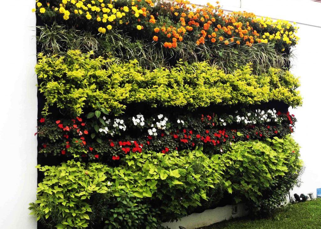jardines verticales en el exterior
